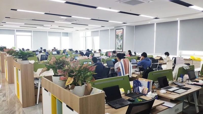 网络维护代理，收费背后的考量因素